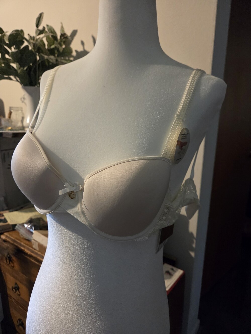 32 B Chantelle Smooth Padded Underwire Bra in Ivory NWT